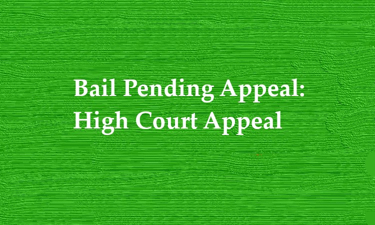 Bail Appeal Procedure